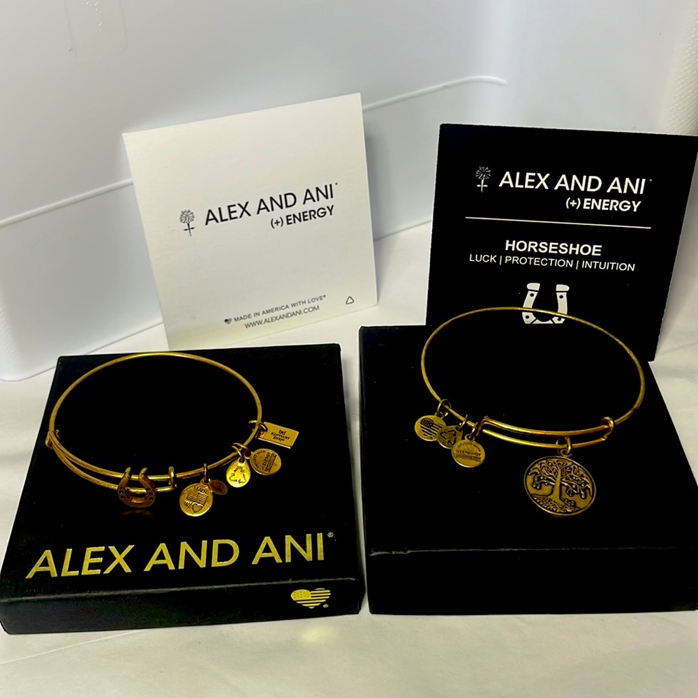 Alex and Ani bracelet